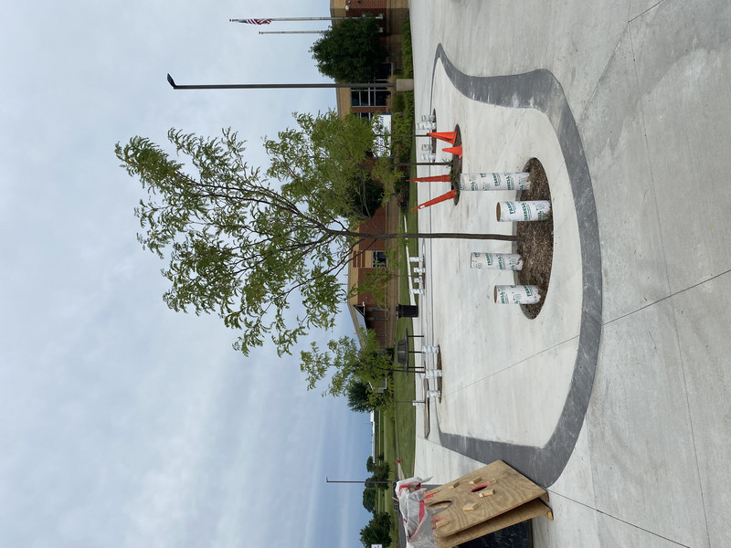 South Plaza Benches