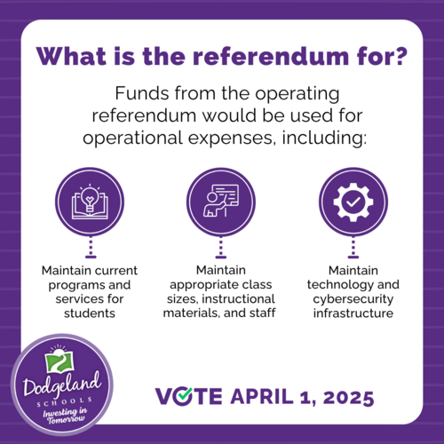 What is the referendum for?